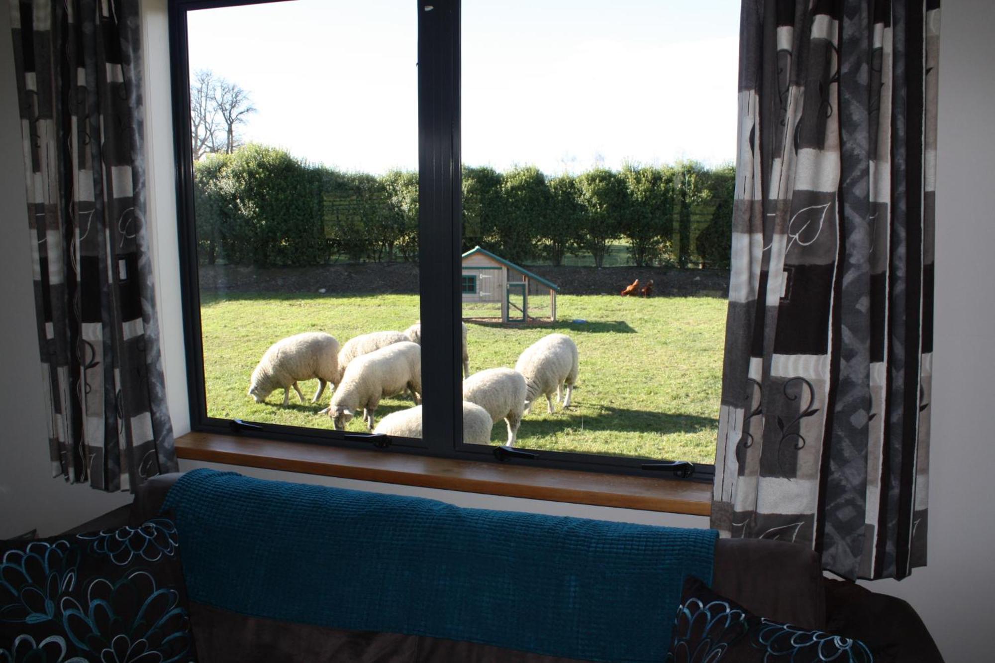 Cottages On St Andrews Havelock North Habitación foto